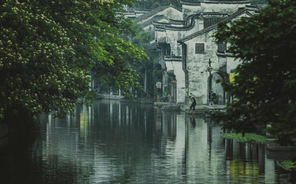 全民烧脑3去广告版