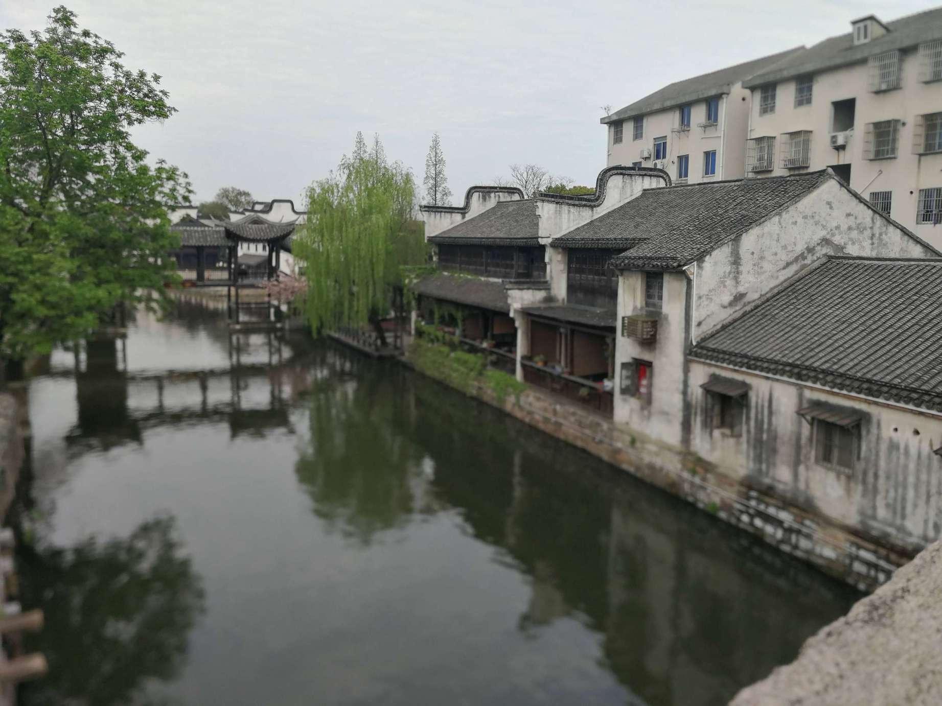 春雨直播app